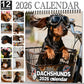 Calendrier mural 2026 – Adorables teckels