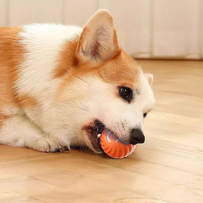 Offre spéciale : Balle rebondissante interactive intelligente pour animaux de compagnie