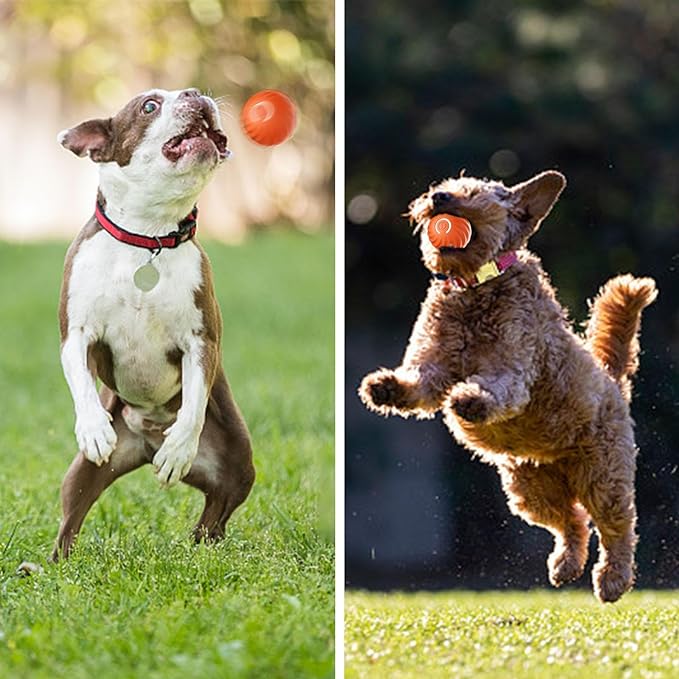 Offre spéciale : Balle rebondissante interactive intelligente pour animaux de compagnie