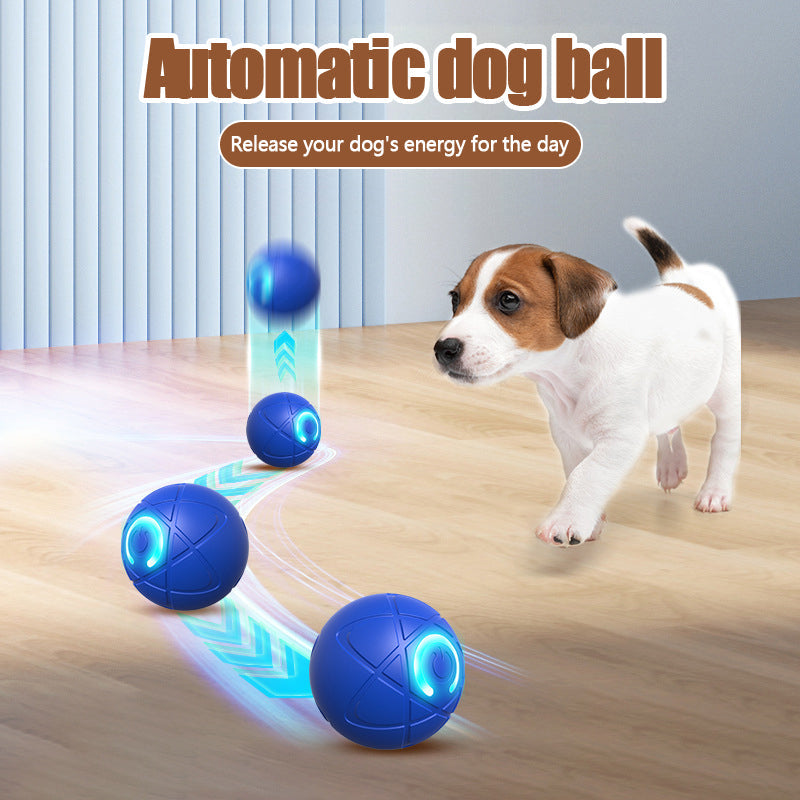 Offre spéciale : Balle rebondissante interactive intelligente pour animaux de compagnie