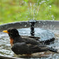 🔥Promotion exceptionnelle -50%🔥🔥Fontaines solaires pour oiseaux🐦️