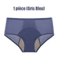 Acheter 3 Obtenir 2 Gratuit 2026 Nouvelle mise à niveau Culotte étanche Taille haute ✨