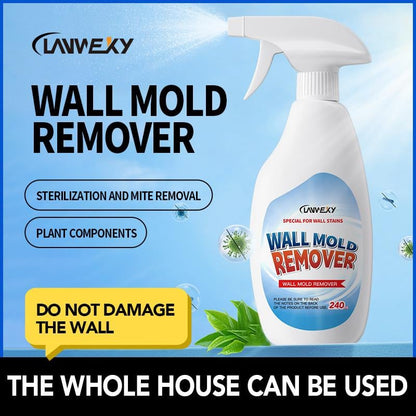 🔥Jusqu'à épuisement des stocks, 55 % de réduction !🎉 Spray anti-moisissure hautement efficace Lanwexy - 💦Empêche la réapparition des moisissures