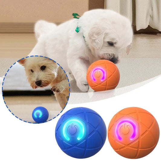 Offre spéciale : Balle rebondissante interactive intelligente pour animaux de compagnie
