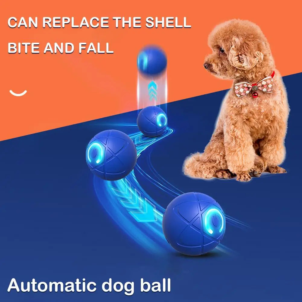Offre spéciale : Balle rebondissante interactive intelligente pour animaux de compagnie