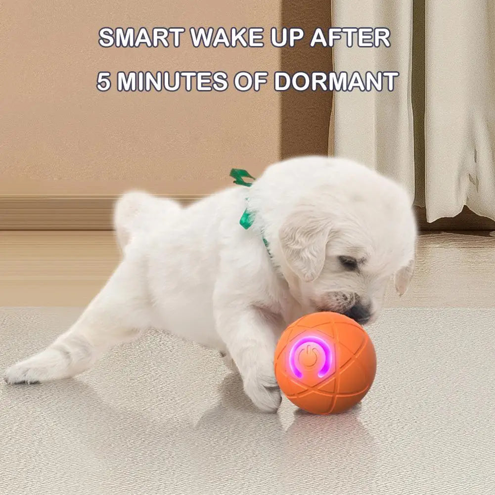 Offre spéciale : Balle rebondissante interactive intelligente pour animaux de compagnie