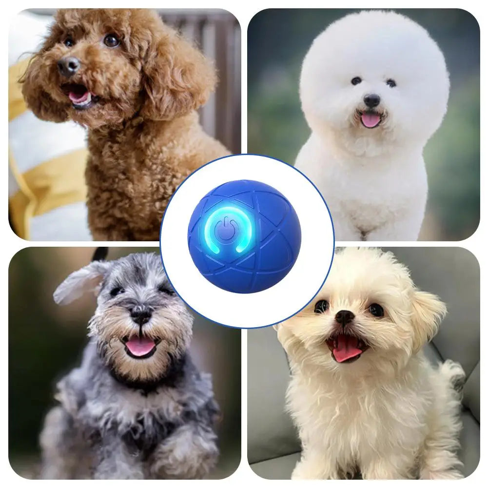Offre spéciale : Balle rebondissante interactive intelligente pour animaux de compagnie
