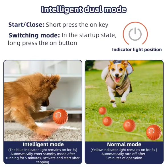 Offre spéciale : Balle rebondissante interactive intelligente pour animaux de compagnie