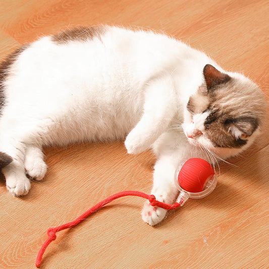 🐱Boule Roulante Automatique Intelligente pour Animaux de Compagnie🎈