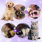 Stylo-brosse à dents pour animaux de compagnie