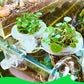 Panier Transparent Multifonctionnel à Pince pour Culture Hydroponique