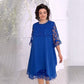 ⏳Réduction limitée de 53%🎁Robe en tulle doux et en dentelle superposée