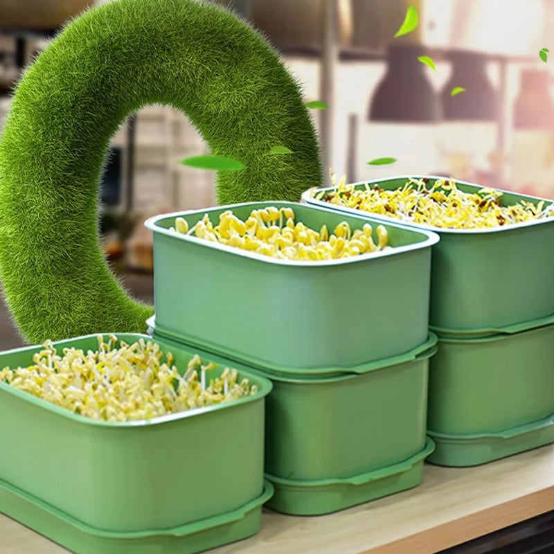🌱 PROMO LIMITÉE 53% DE RÉDUCTION ! 💥 Caisse Germination Empilable – Mult couche, Anti-Moisissure, Sans Sol ✨