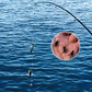 🏆🐟Ensemble de leurres artificiels pour la pêche à la mouche avec plusieurs hameçons