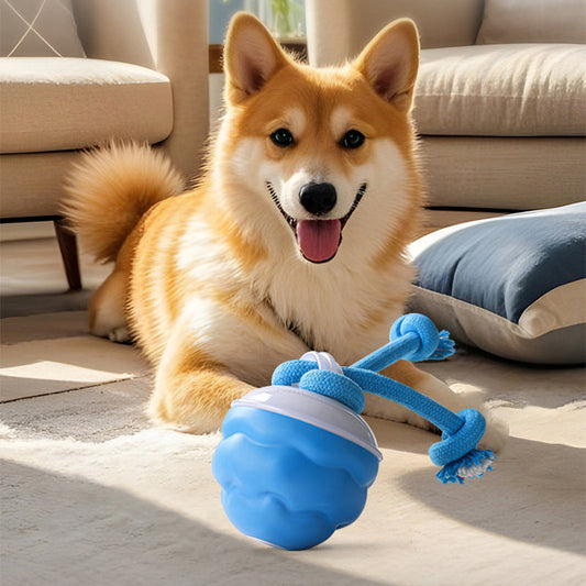 📢📢50 % de réduction !!!  💖🐾Balle Interactive Électronique Apaisante pour Animaux de Compagnie – Trois Modes, Évitement des Obstacles & Plus! 🐶💡