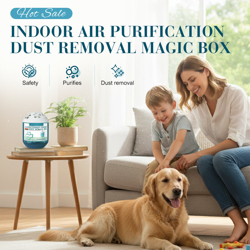 📢📢 50 %  DE RÉDUCTION !! ✨Boîte magique pour purifier l'air intérieur et éliminer la poussière🍋‍🟩