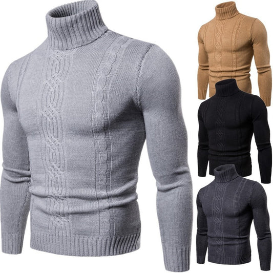 Pull à col roulé pour homme, motif torsadé et coupe ajustée