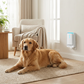 🔥Offres spéciales – Purificateurs d'air silencieux avec prise