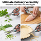 Ciseaux de cuisine multifonctionnels et robustes