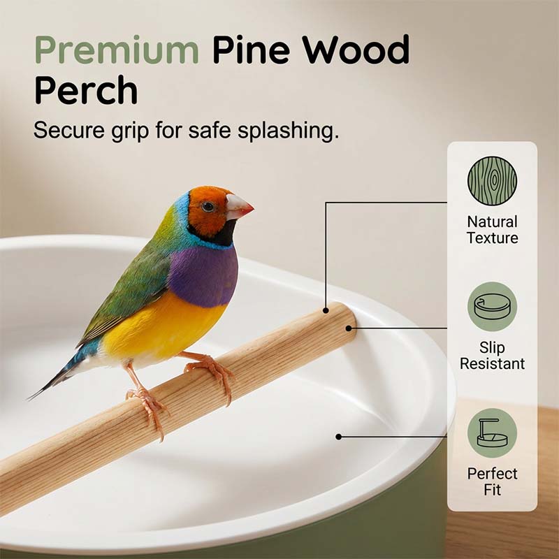 🐦 OFFRE LIMITÉE : 52 % DE RÉDUCTION ! 🚿 Bain d'oiseaux électrique avec douche à effet pluie et perchoir – Pompe sûre et silencieuse pour des oiseaux heureux 🛀