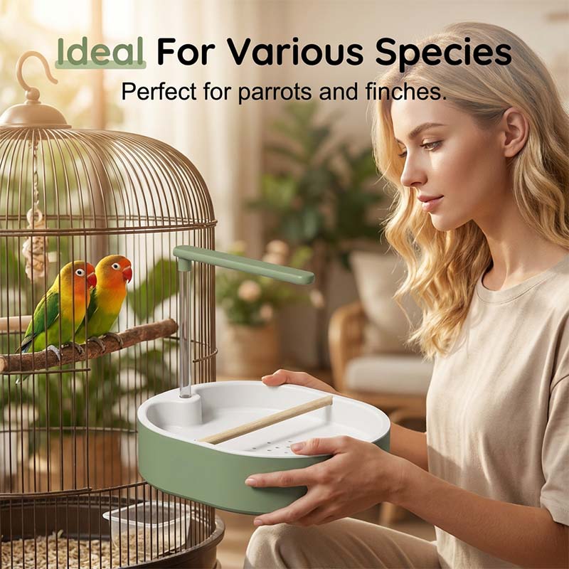 🐦 OFFRE LIMITÉE : 52 % DE RÉDUCTION ! 🚿 Bain d'oiseaux électrique avec douche à effet pluie et perchoir – Pompe sûre et silencieuse pour des oiseaux heureux 🛀