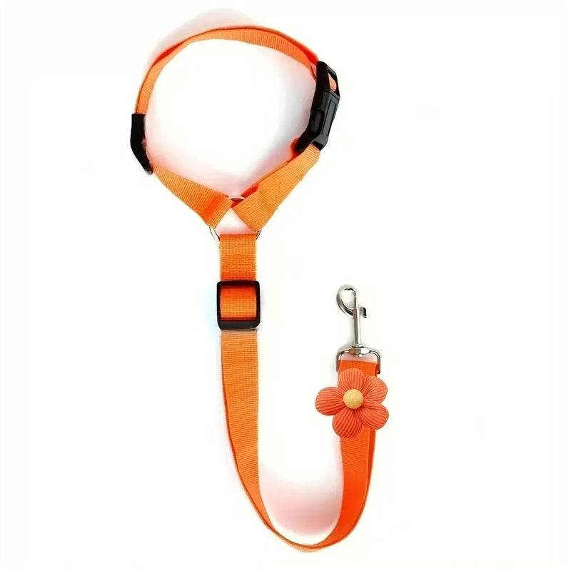 💐50% DE RÉDUCTION ! Harnais de Sécurité Auto – Ceinture Élastique Anti-Étranglement 🐶✔️【Offre Limitée】