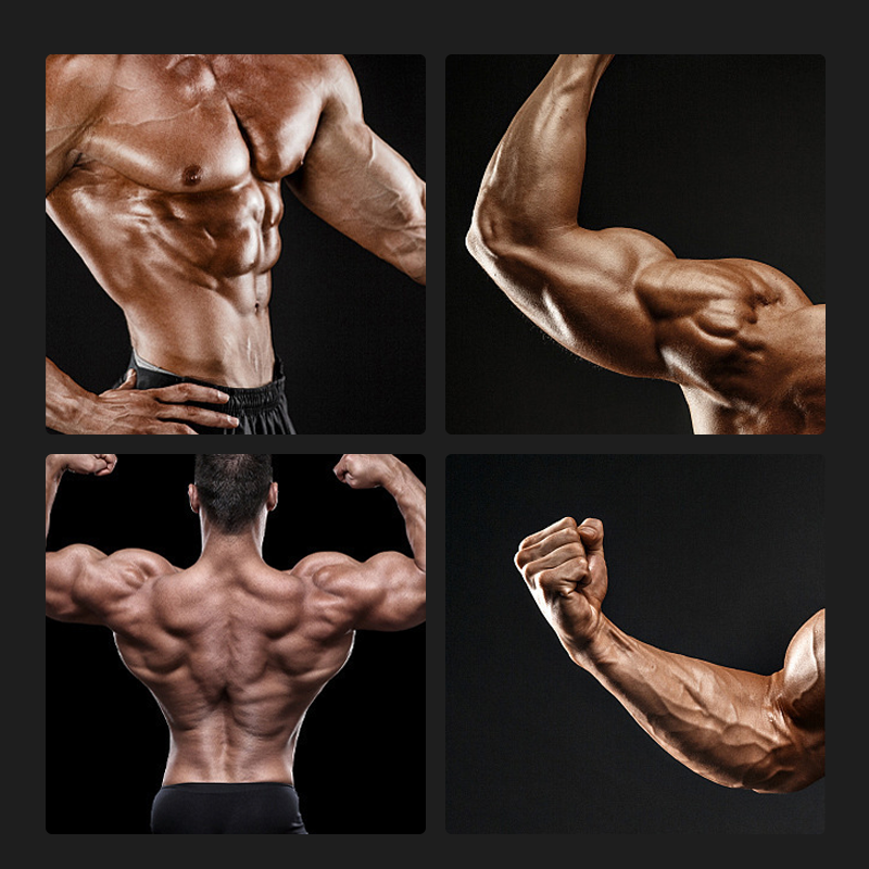 🏋️✨ PROMO -50% ! Appareil Musculation Bras Rotation 360° – Résistance 5,4kg Réglable, Avant-Bras Poignets Force Préhension, Compact Rangement Facile · Homme & Femme · Argenté 💪