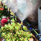 ⚡Buy 1 Get 1 FREE⚡Free Bending Watering Nozzle Sprinkler