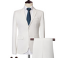 Costume d’affaires moderne coupe ajustée 2 pièces pour homme