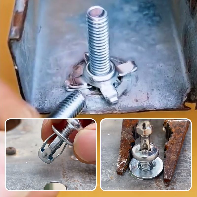 🔰 40% de réduction🔥Écrous de pétale de vis d'expansion
